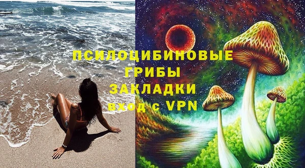 apvp Алексеевка
