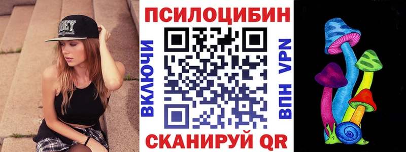 блэк спрут tor  Крым  Псилоцибиновые грибы Cubensis 