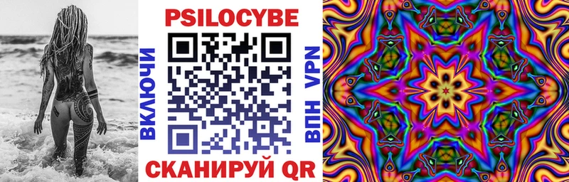 Псилоцибиновые грибы Psilocybine cubensis Крым